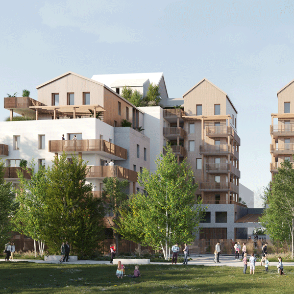 78 logements, bois